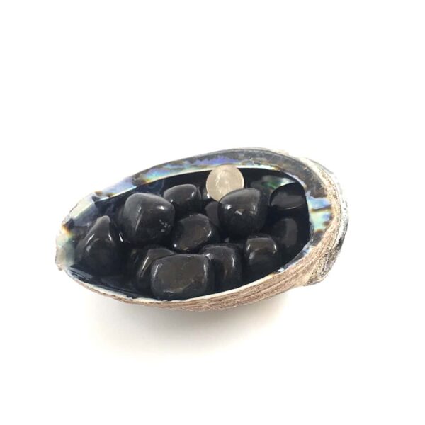 Shungite Tumbled Stone - Medium