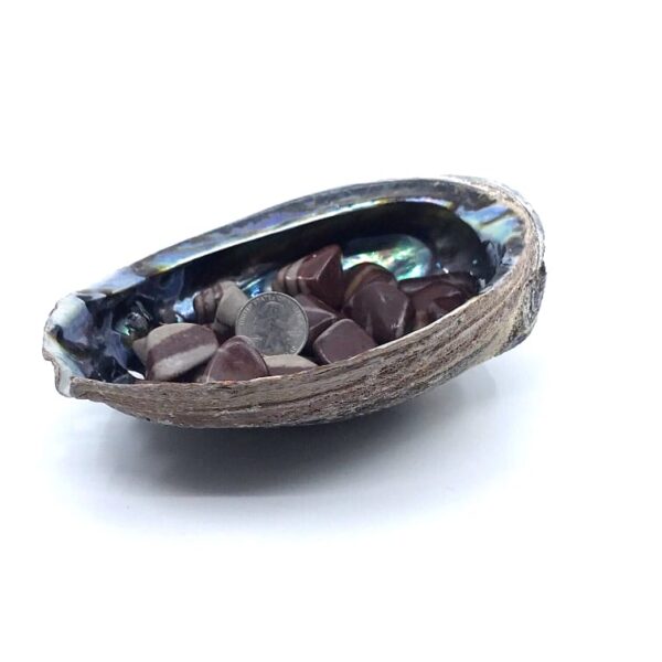 Shiva Lingam Tumbled Stones