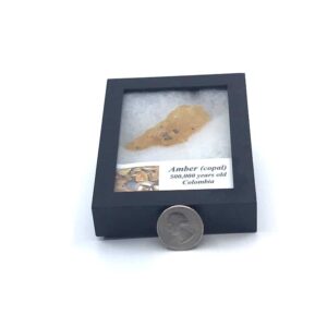 fortunecrystals amber box 300x300 - Amber