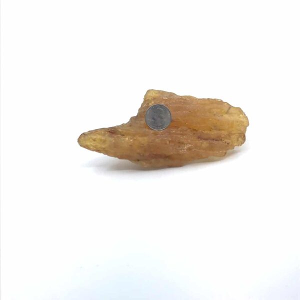 Amber - Large - Image 2