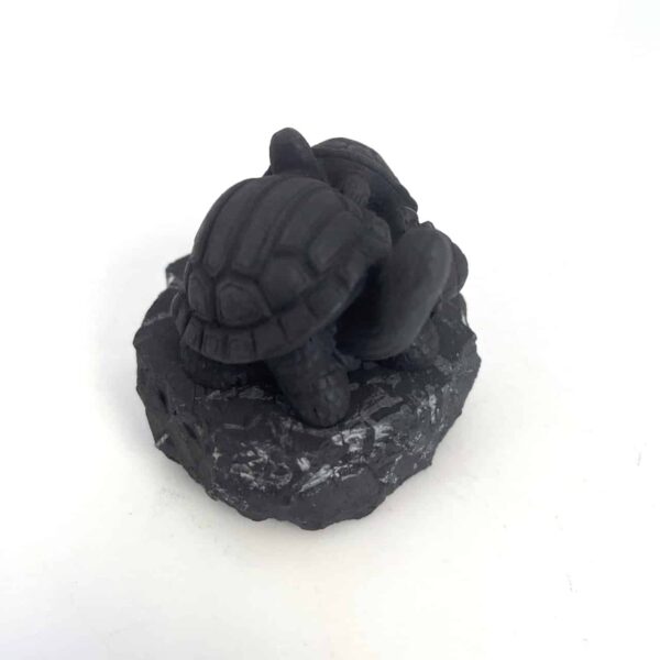 Shungite Turtle