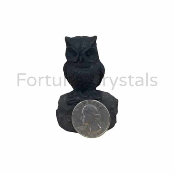 Shungite Owl - Image 2