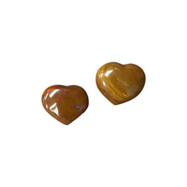 Petrified Wood Hearts