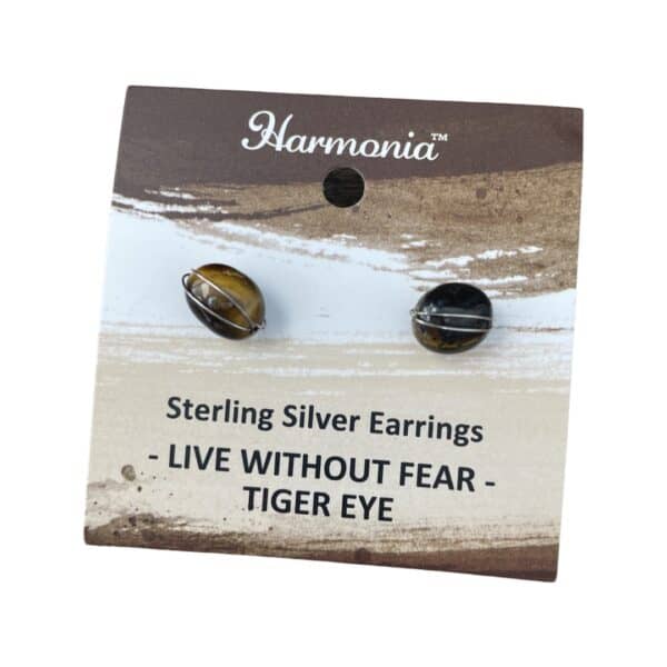 Tiger Eye Earrings